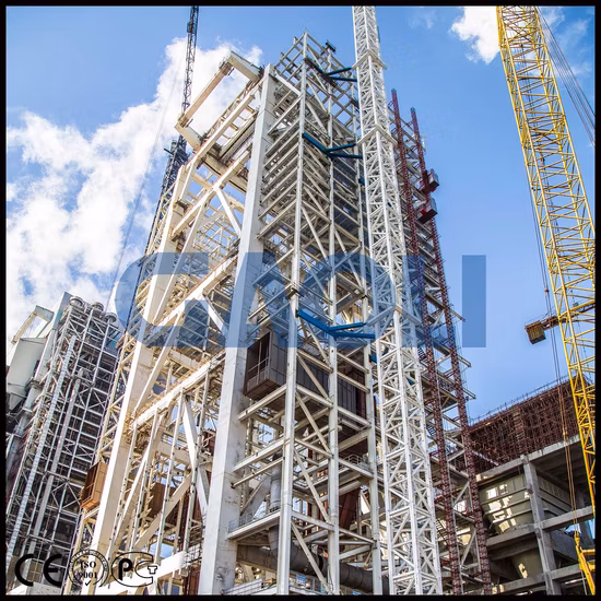 5ton 링 체인 호이스트 240volt 저렴한 리프트 이중 폭발 방지 전기 체인 호이스트